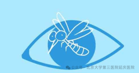图片55.jpg