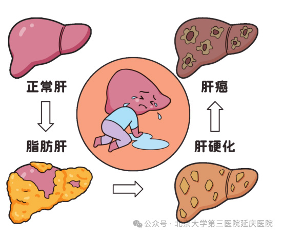 图片-3.jpg