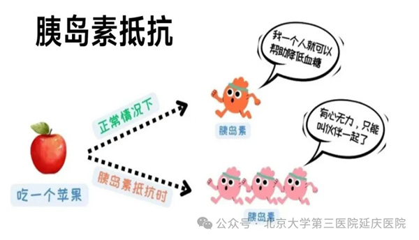 图片-2.jpg