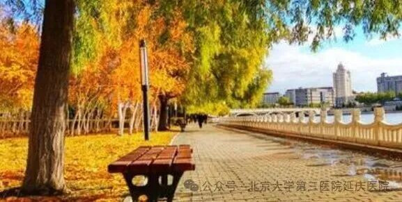 图片12.jpg 图片12.jpg