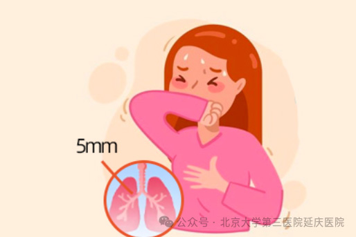 图片3.jpg 图片3.jpg