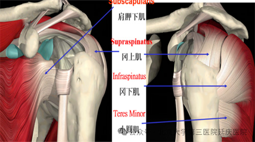 图片9.jpg 图片9.jpg