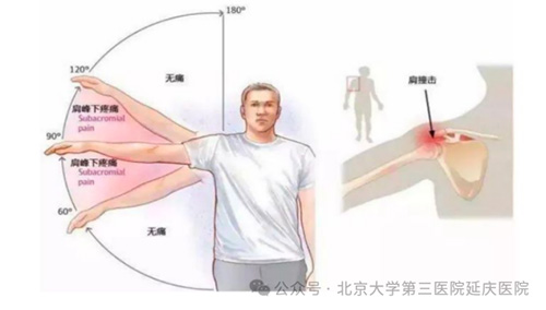 图片10.jpg 图片10.jpg