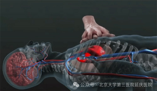 图片10.jpg