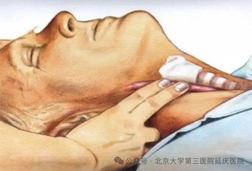图片11.jpg