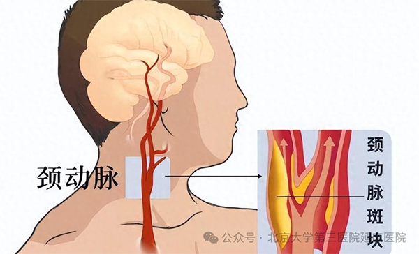 图片8.jpg
