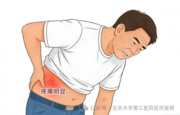 图片 3.jpg