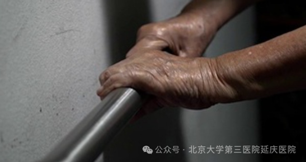 图片 4.jpg