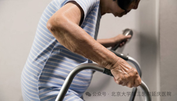 图片 5.jpg