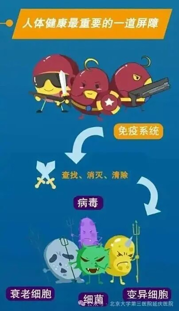 图片 3.jpg