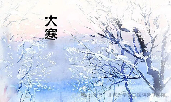 图片 1.jpg