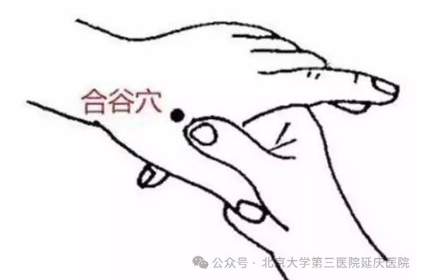 图片 5.jpg