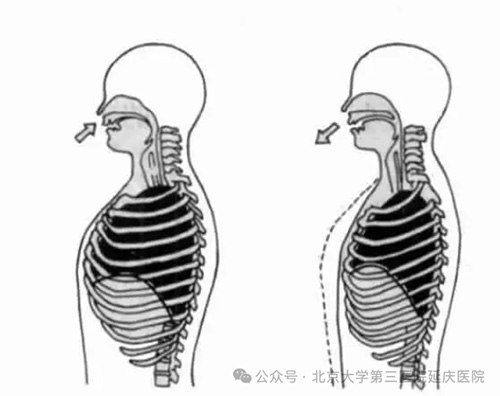 图片16.jpg