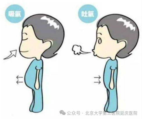 图片21.jpg