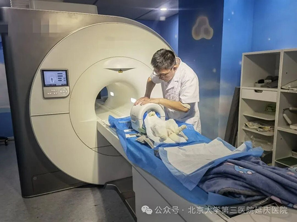 图片9.jpg