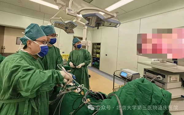 图片15.jpg 图片15.jpg