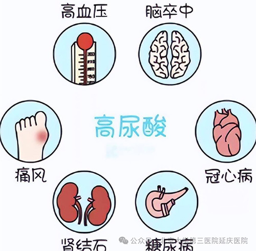 图片15.jpg