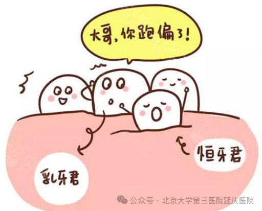 图片24.jpg
