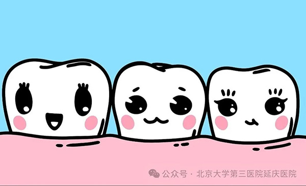 图片28.jpg