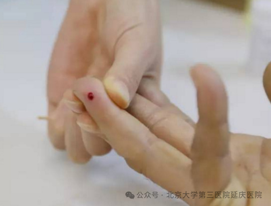 图片5.jpg