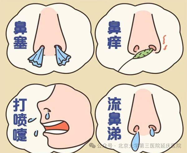 图片21.jpg