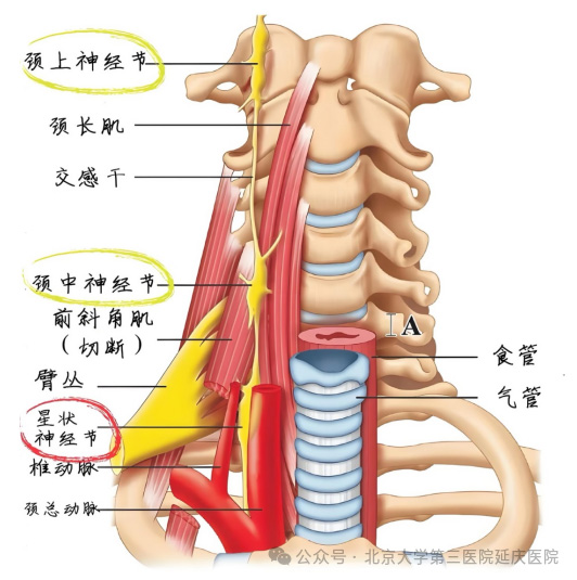 图片22.jpg