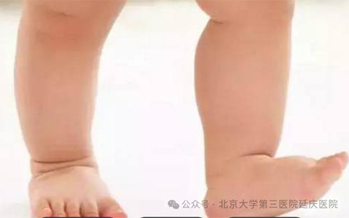 图片13.jpg