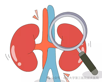 图片8.jpg