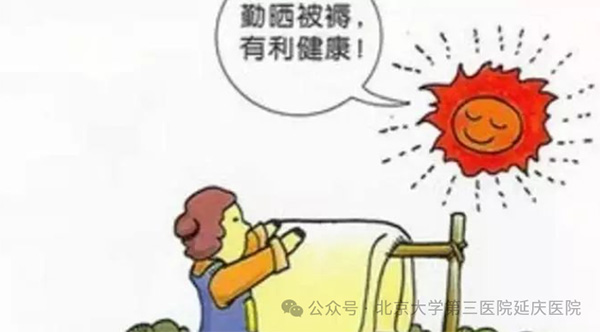 图片-6.jpg