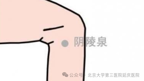 图片-9.jpg