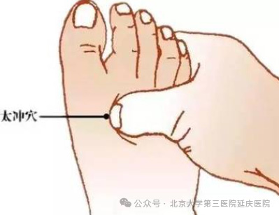图片-10.jpg