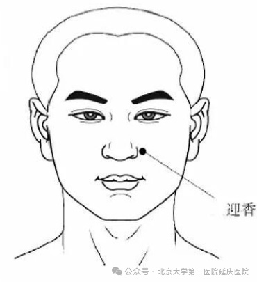 图片-11.jpg
