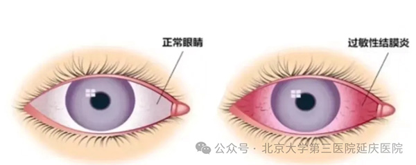 图片13.jpg