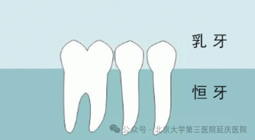 图片20.jpg