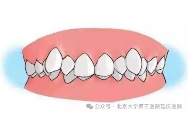 图片28.jpg