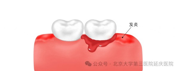 图片21.jpg