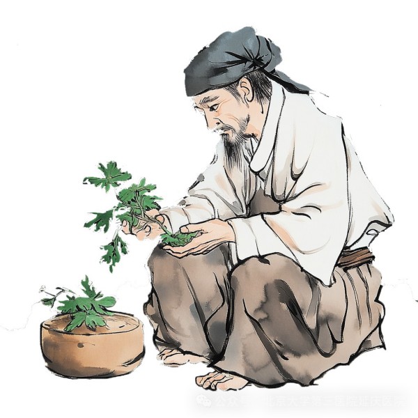 图片16.jpg
