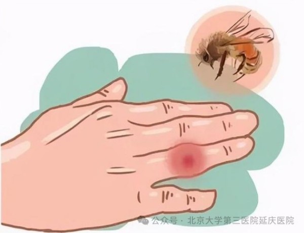 图片18.jpg
