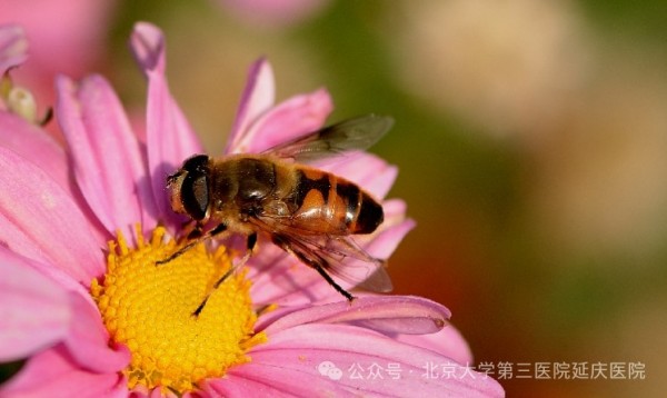 图片19.jpg