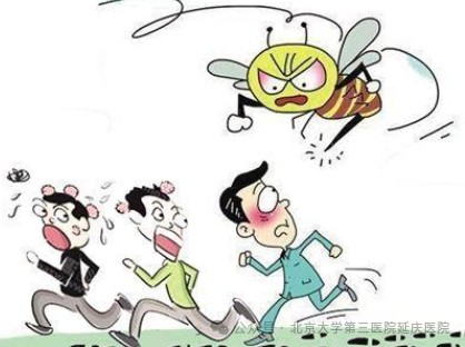 图片22.jpg