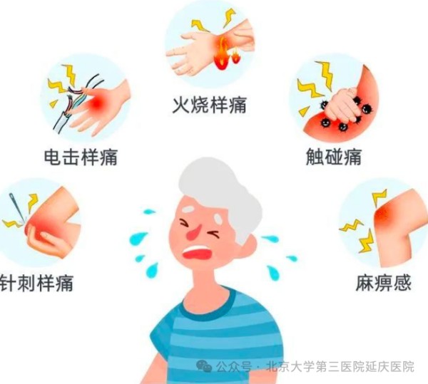 图片 3.jpg