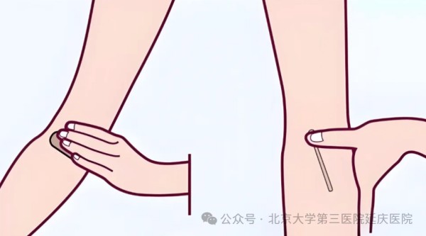 图片 4.jpg