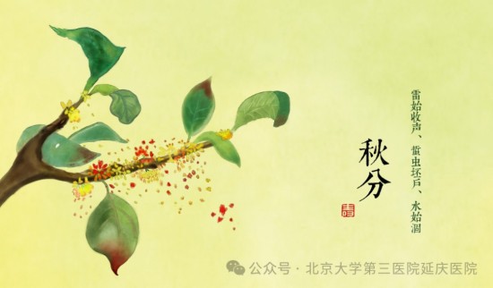 图片31.jpg