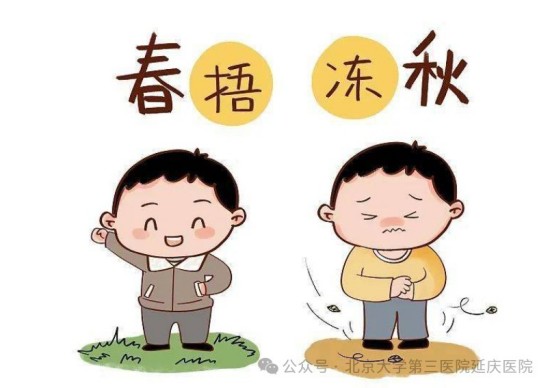 图片32.jpg